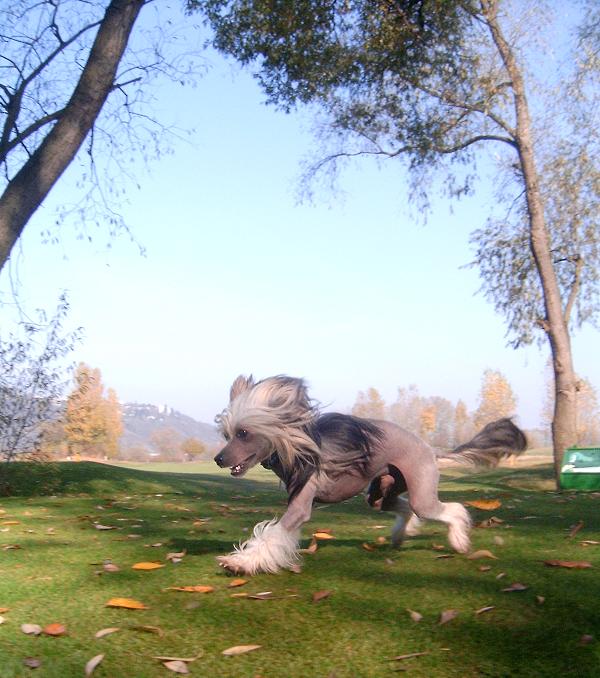 2.JPG